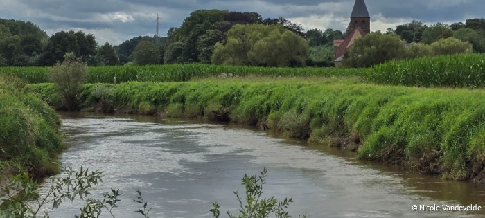 20240809_Aarschot12.JPG