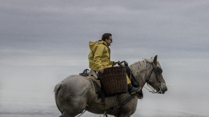Daguitstap vol ontdekkingen naar Oostduinkerke en Veurne